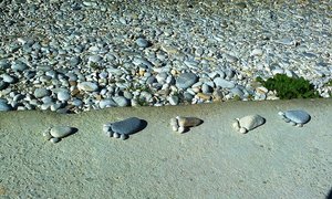 Sondag 29 Maart 2015